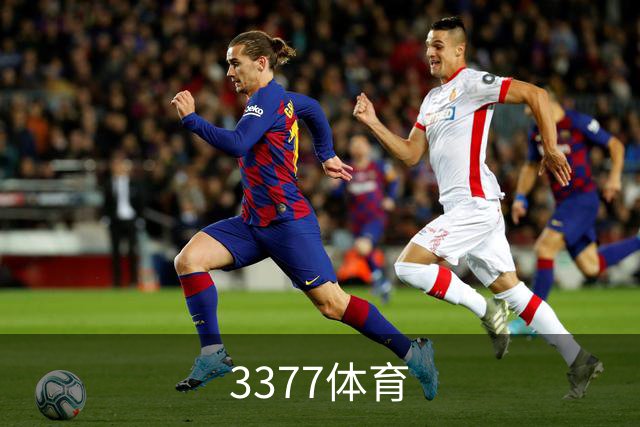 3377体育公司环境